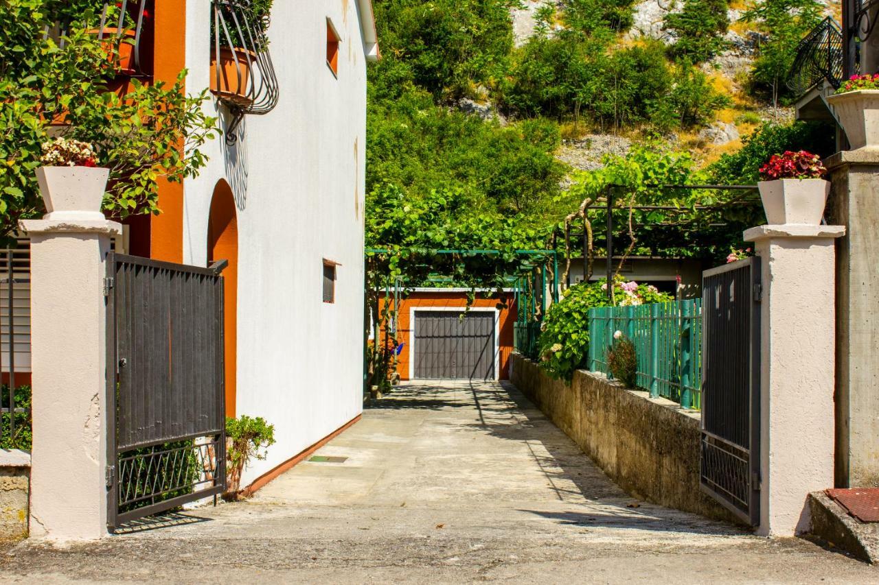 Apartments Rustic Котор Екстер'єр фото
